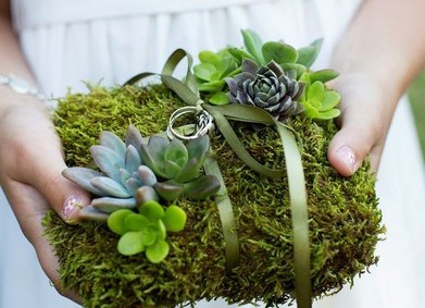 Цвет свадьбы – природная Зелень (Greenery)
