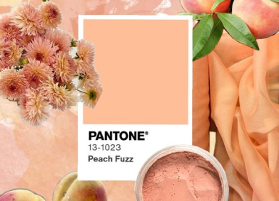 Колір 2024 року – Персиковий! Оформлюємо весілля кольором Pantone