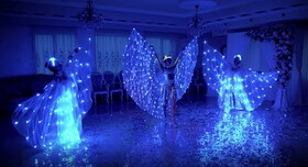 Шоу "СВЕТОВЫЕ БАБОЧКИ" и PIXEL SHOW | световое шоу Одесса | Шоу-студия ЭРИАЛ - артист, шоу у Одесі - фото 1