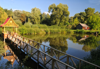 Дендропарк - фото 1