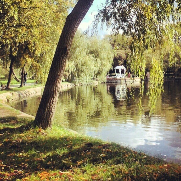 Парк Лебединое озеро (Лебединка)