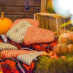 SHEVERNOVA DECOR - декоратор, флорист у Києві - фото 4