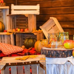 SHEVERNOVA DECOR - декоратор, флорист у Києві - фото 3