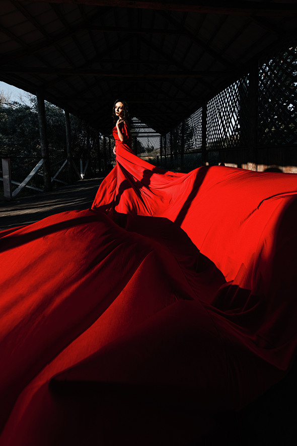 Red & Black - фото №5