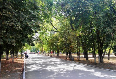 Шевченковский парк - фото 3