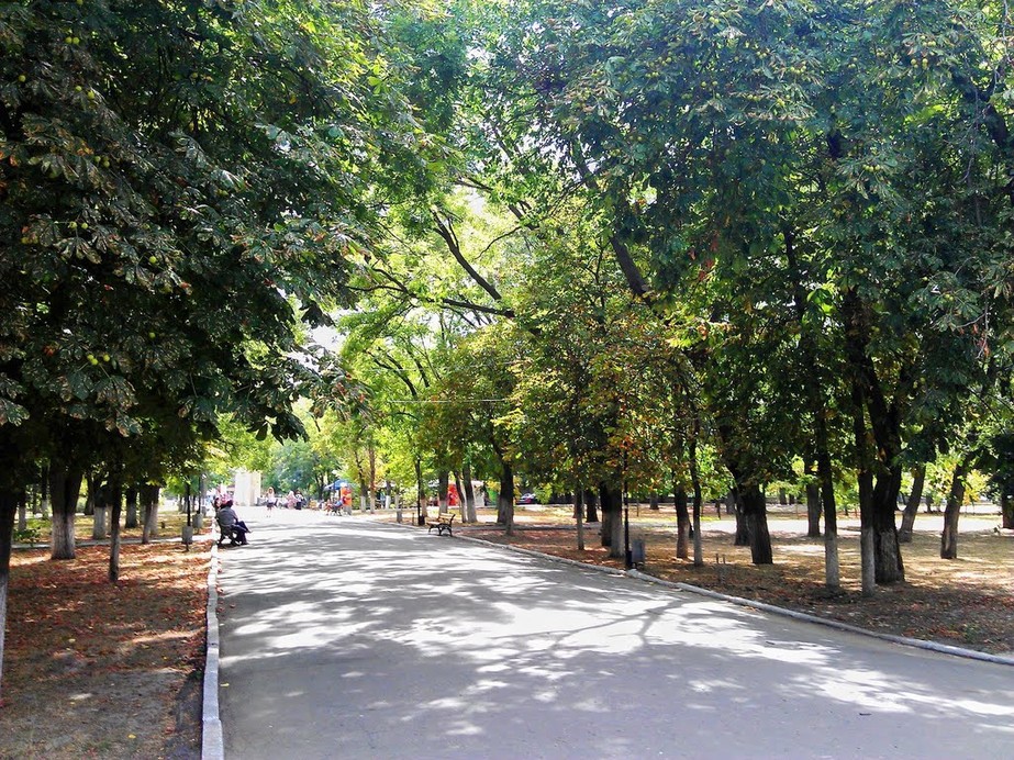  Шевченковский парк