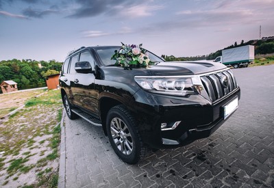 Роман Autowedding - фото 3