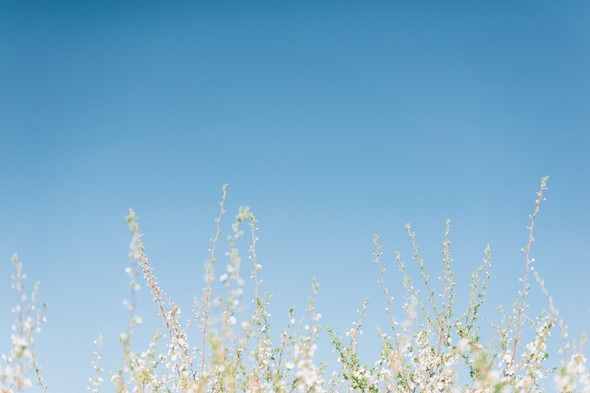 Love Story - фото №23