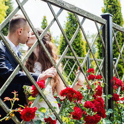 Сергей Василевский - фотограф у Києві - фото 4