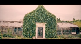 AmasFilm - відеограф у Києві - фото 1