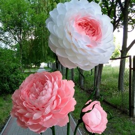 Big flowers