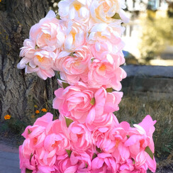 Big flowers - декоратор, флорист у Сумах - фото 4