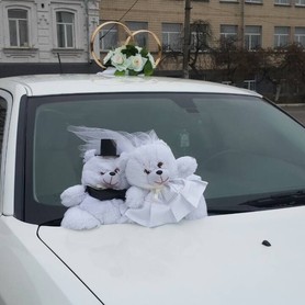 Chrysler 300C - авто на весілля у Києві - портфоліо 5