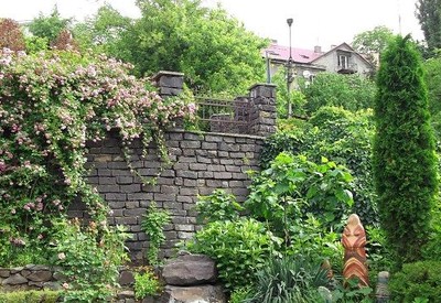 Ботанический сад - фото 3