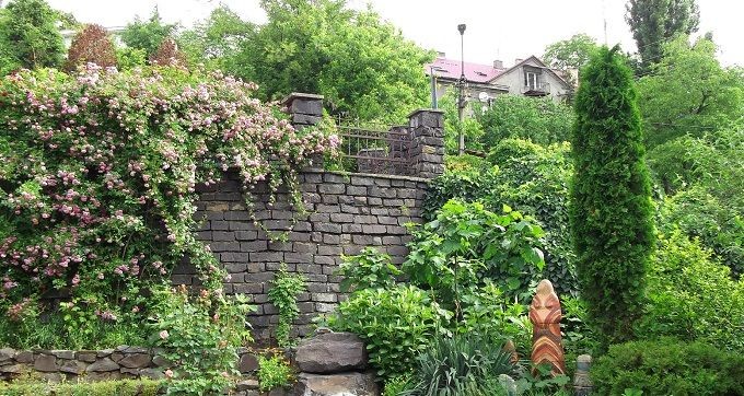 Ботанический сад