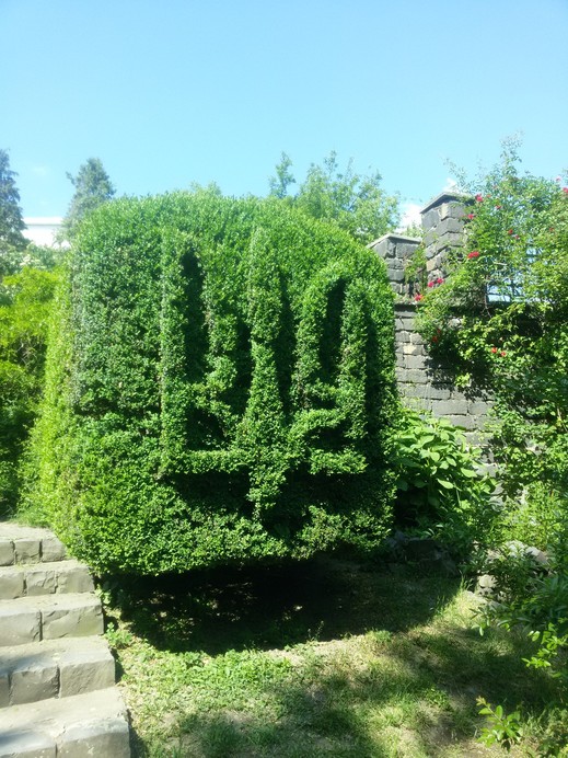 Ботанический сад