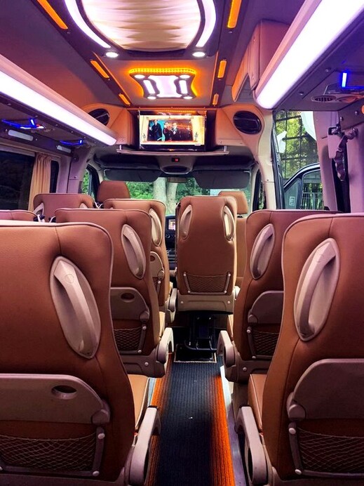 012 Mercedes-Benz Sprinter чорний прокат оренда 