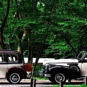 187 Ретро автомобіль Buick 1939 року - авто на весілля у Києві - портфоліо 1
