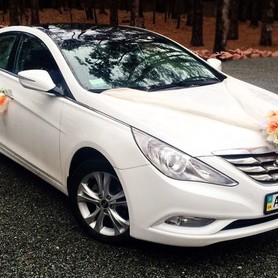 165 Hyundai Sonata белая 2013 - авто на весілля у Києві - портфоліо 4