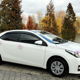170 Toyota Corolla біла оренда на весілля - авто на весілля у Києві - портфоліо 2