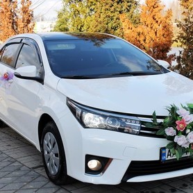 170 Toyota Corolla біла оренда на весілля - авто на весілля у Києві - портфоліо 5