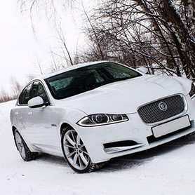 124 Jaguar XF білий оренда - авто на весілля у Києві - портфоліо 4