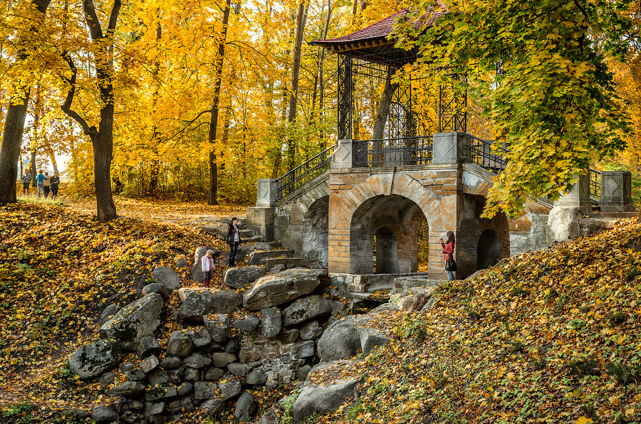 Дендропарк Александрия