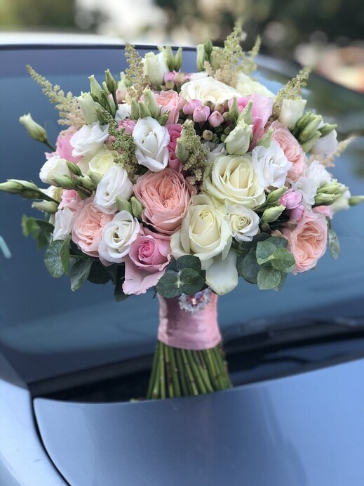  LS_Flora