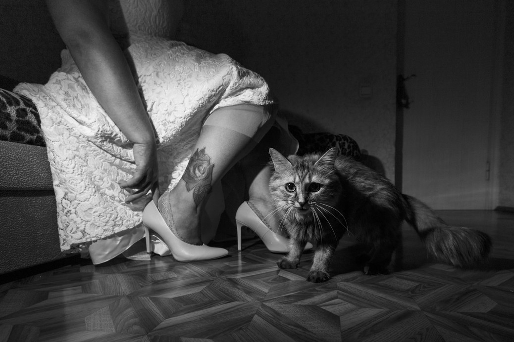 Tyshchenko live photography