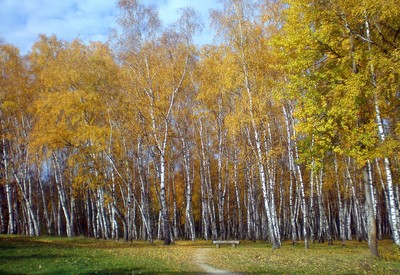 Пруд “Миргородская лужа” - фото 3