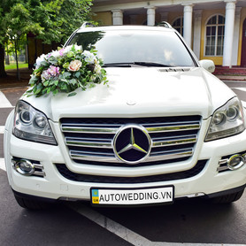 Mercedes GL550 - авто на весілля у Вінниці - портфоліо 1