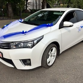 Легковые автомобили - авто на весілля у Харкові - портфоліо 2