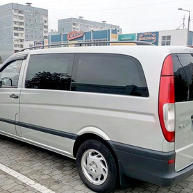 Mercedes Vito - авто на весілля у Запоріжжі - портфоліо 2