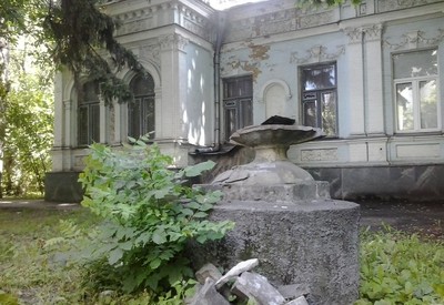 Парк Института педиатрии, акушерства и гинекологии - фото 3