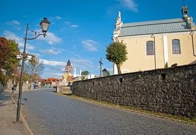 Тринитарский костел - фото 3