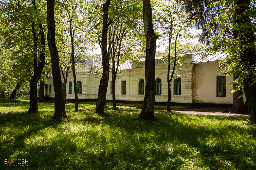 Седнев