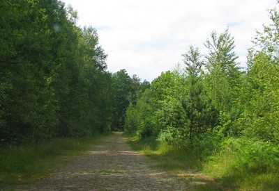 Каменное село - місце для фотосесій у Житомирської області - портфоліо 5