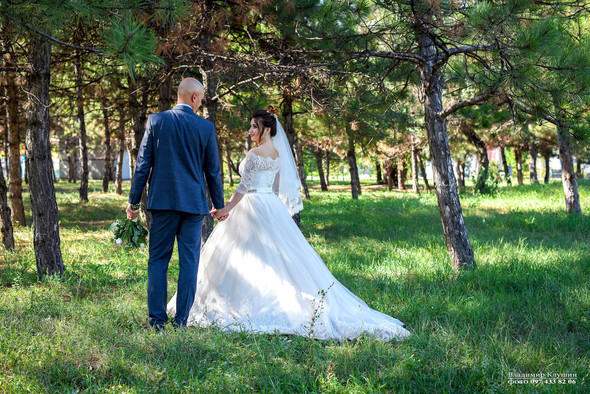 Wedding - фото №8