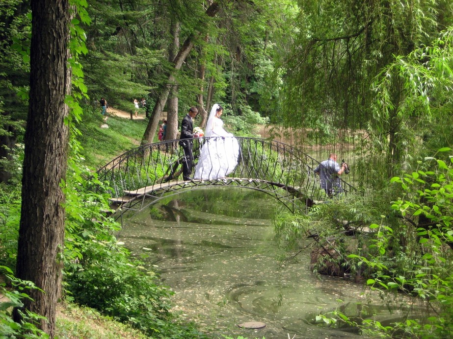 Краснокутский дендропарк 