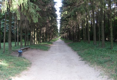 Краснокутский дендропарк - місце для фотосесій у Харківської області - портфоліо 4