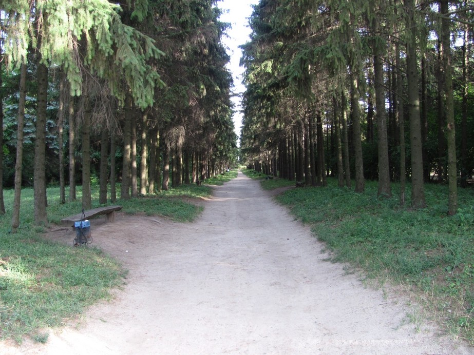 Краснокутский дендропарк 