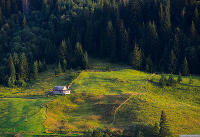 Дземброня - місце для фотосесій у Івано-Франківської області - портфоліо 5
