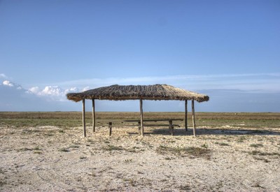 Бирючий остров - місце для фотосесій у Херсонської області - портфоліо 6