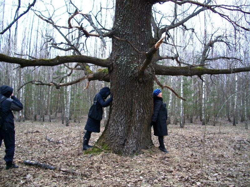 Ичнянский национальный природный парк
