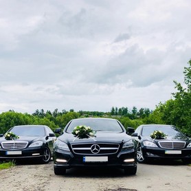Mercedes S221 - авто на весілля у Івано-Франківську - портфоліо 4