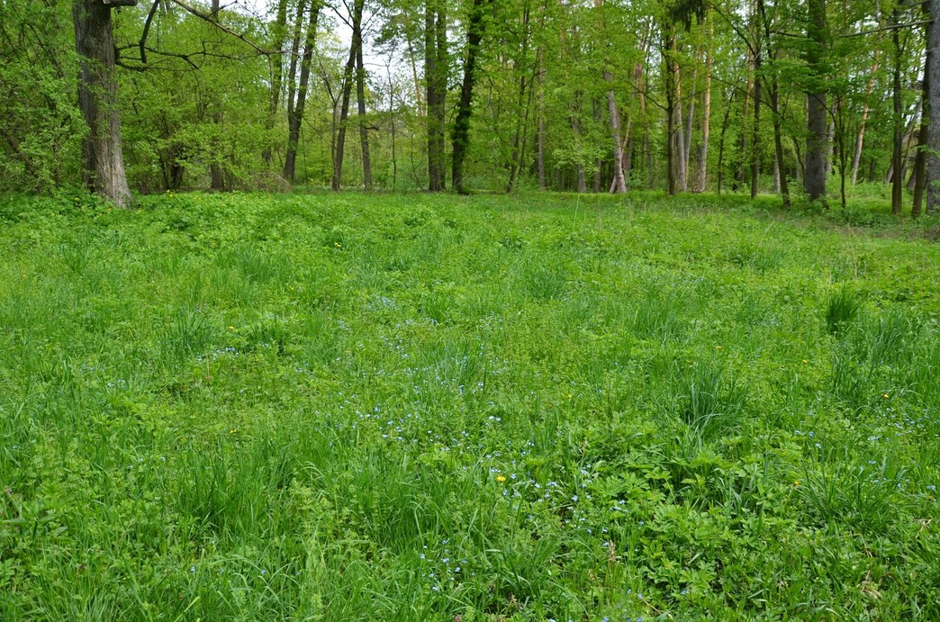 Парк Тростянец