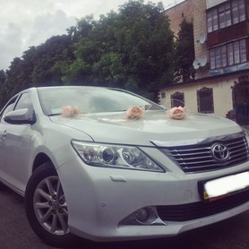 Toyota Camry xv 50 - авто на весілля у Тернополі - портфоліо 6