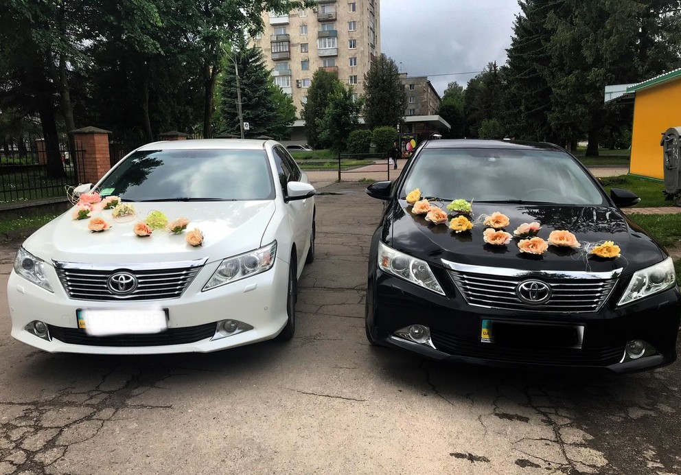 Toyota Camry xv 50 