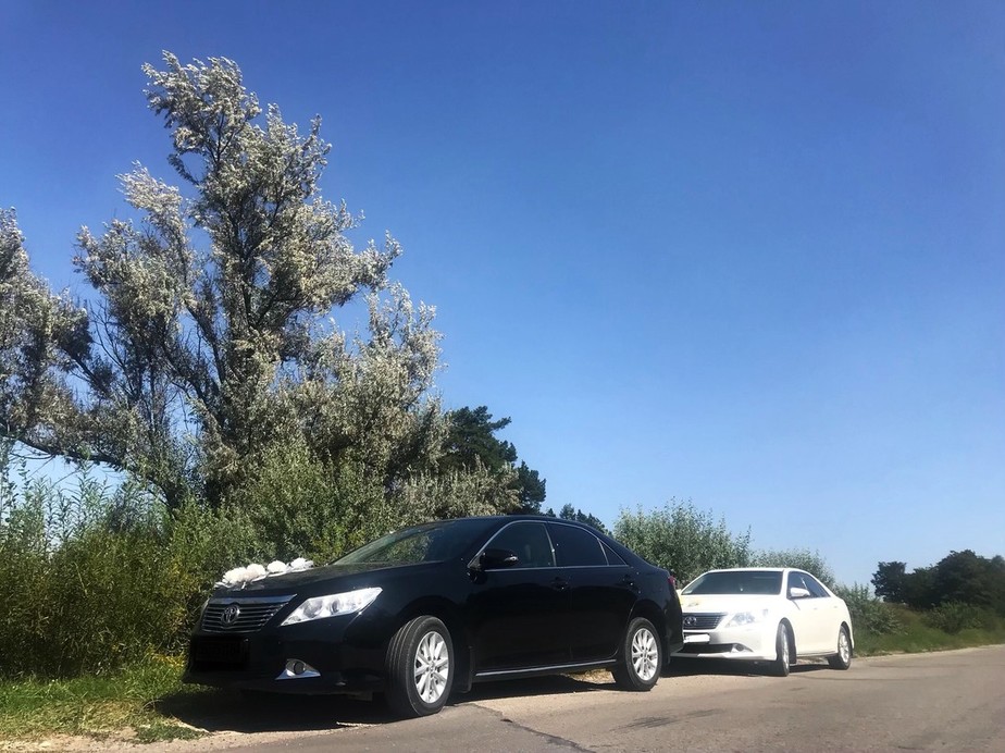 Toyota Camry xv 50 