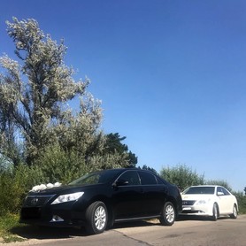 Toyota Camry xv 50 - авто на весілля у Тернополі - портфоліо 2